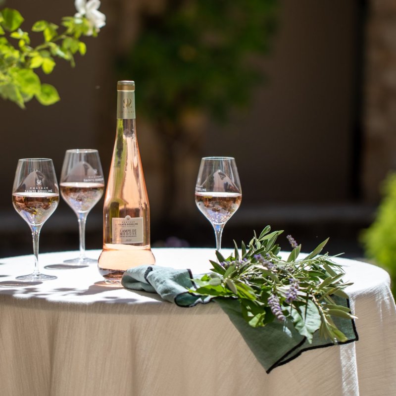 A visit to a vineyard and a historic site in Provence